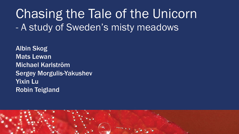 Chasing The Tale Of The Unicorn - Full Report